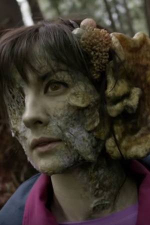 R. L. Stine's The Haunting Hour