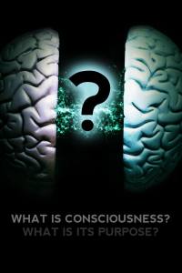 What Is Consciousness? What Is Its Purpose?